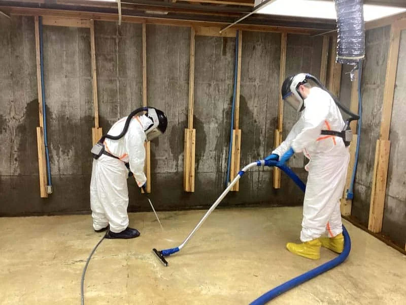 Flood Cleanup